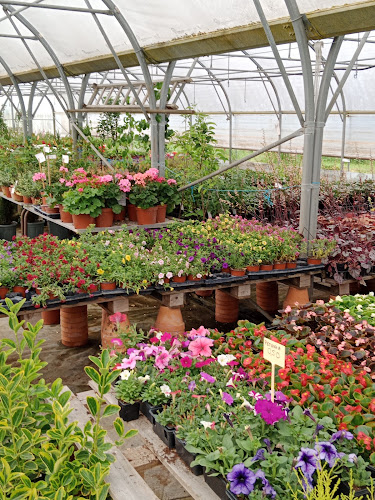 Opinii despre Pépinière Jean-Claude Papin în Blois - Fleuriste