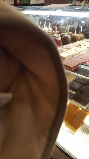 Night Club «Lava Nightclub», reviews and photos, 5218 Patrick Rd, Verona, NY 13478, USA