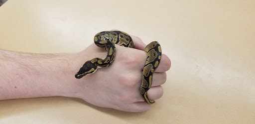 Pet Supply Store «Petco Animal Supplies», reviews and photos, 10315 E Shelby Dr, Collierville, TN 38017, USA