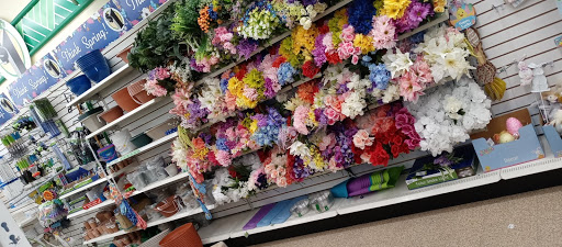 Dollar Store «Dollar Tree», reviews and photos, 1771 Ritchie Station Ct, Capitol Heights, MD 20790, USA