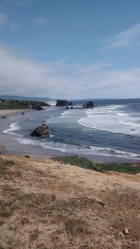 Coffee Shop «The Human Bean Bandon», reviews and photos, 65 10th St SE, Bandon, OR 97411, USA