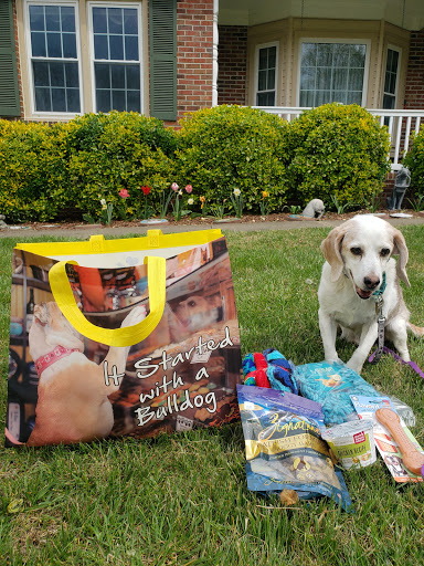 Pet Supply Store «Dog Krazy, Inc.», reviews and photos, 10681 Spotsylvania Ave, Fredericksburg, VA 22408, USA