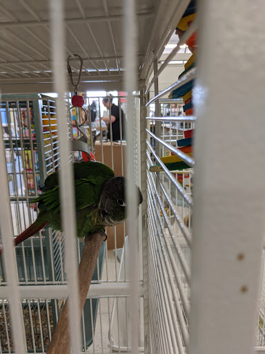 Pet Supply Store «Pet Valu», reviews and photos, 541 S Breiel Blvd, Middletown, OH 45044, USA