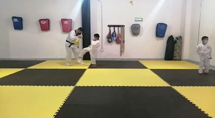 Taekwondo y Kick Boxing Atempan