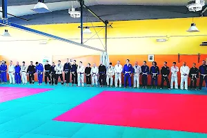 Brazilian Jiu Jitsu Firenze - Rio Grappling Club Firenze image