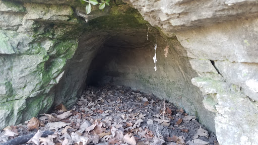 Nature Preserve «Engelmann Woods Natural Area», reviews and photos, 2360 Hwy D, Boles Township, MO 63304, USA