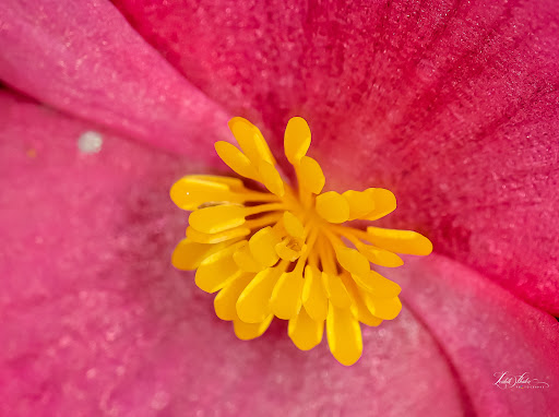 Park «Lake Lotus Park Office», reviews and photos, 1153 Lake Lotus Park Rd, Altamonte Springs, FL 32714, USA