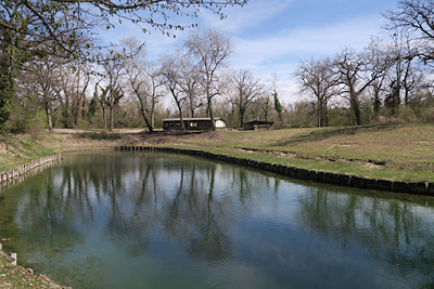 Etang de Pêche de NAMBSHEIM à Geiswasser