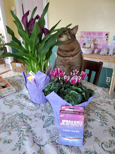 Pet Supply Store «Pet Supplies Plus», reviews and photos, 1663 Mineral Spring Ave, North Providence, RI 02904, USA