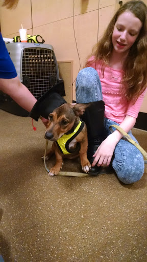 Pet Supply Store «PetSmart», reviews and photos, 3096 N Eastman Rd, Longview, TX 75605, USA