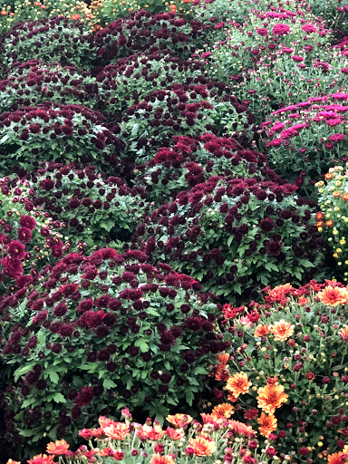 Produce Market «Produce Junction Inc», reviews and photos, 272 Pottstown Pike, Exton, PA 19341, USA