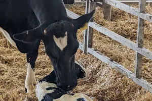 Penn State Dairy Complex image