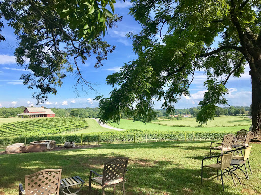 Winery «CeNita Vineyards, Winery & Tasting Room», reviews and photos, 591 Dock Dorsey Rd, Cleveland, GA 30528, USA