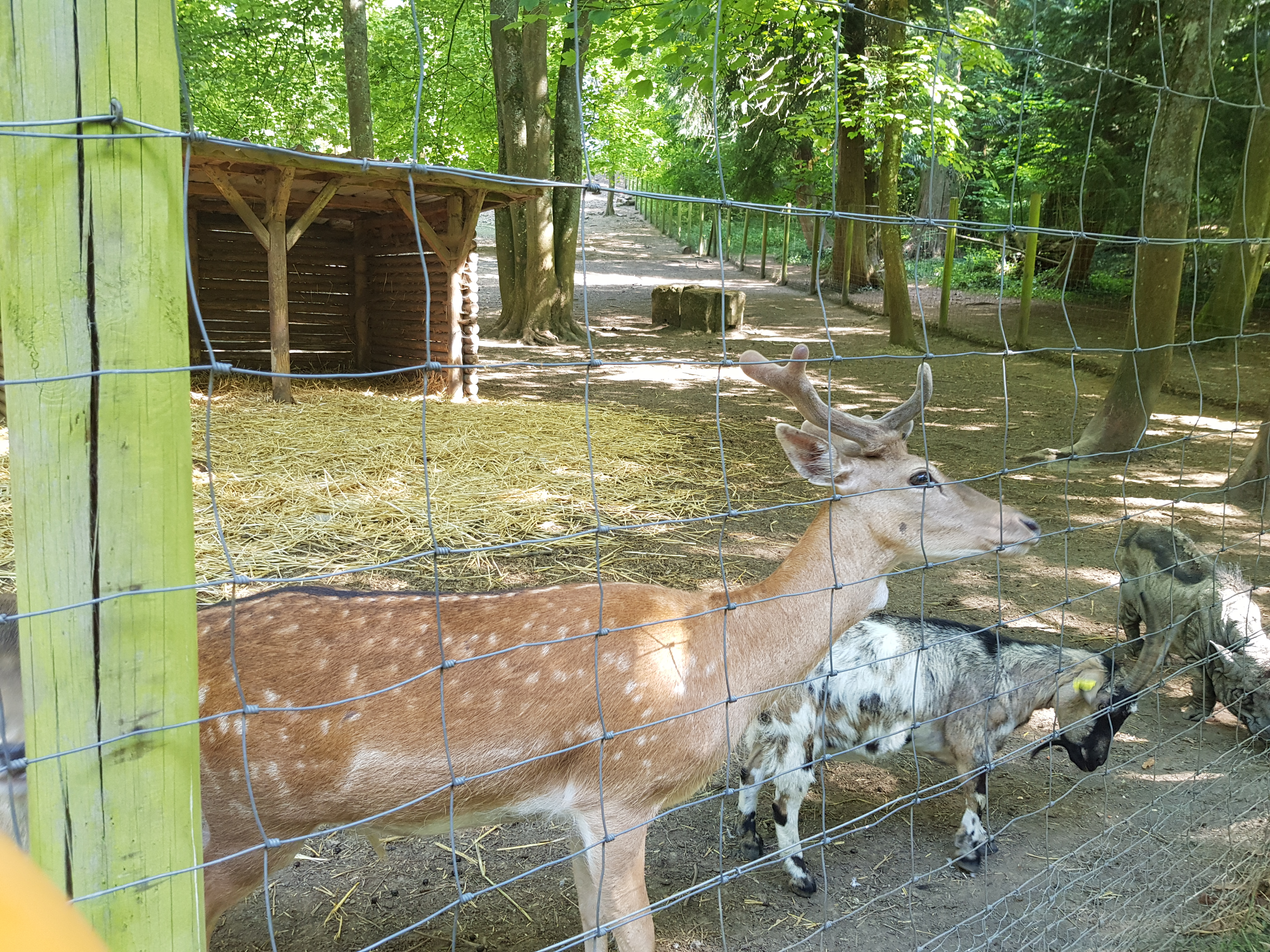 Photo n° 7 de l'avis de Laetitia.e fait le 20/06/2020 à 20:37