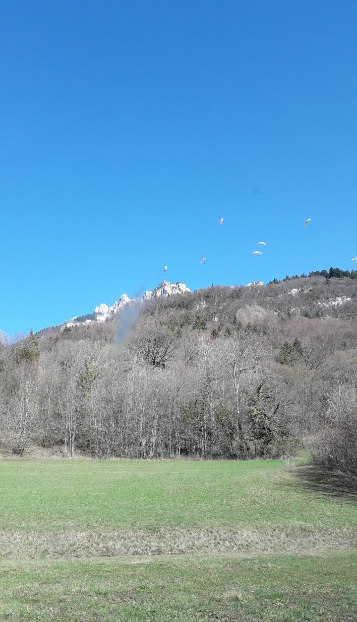Photo n° 6 de l'avis de Laëtitia.A fait le 18/03/2019 à 11:39