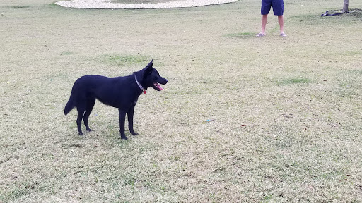 Park «Al Helms Dog Park», reviews and photos, 1022 Balboa Ave, Panama City, FL 32401, USA