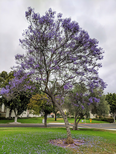 Park «University Community Park», reviews and photos, 1 Beech Tree Ln, Irvine, CA 92612, USA