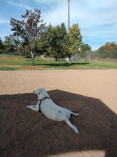 City Park Dog Park
