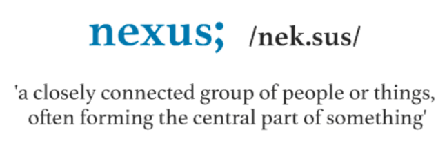Reviews of Nexus Recruitment in Lower Hutt - Employment agency