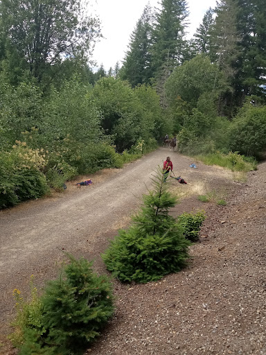 Train Station «Chelatchie Prairie», reviews and photos, 207 N Railroad Ave, Yacolt, WA 98675, USA
