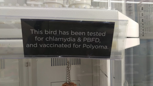 Pet Supply Store «Petco Animal Supplies», reviews and photos, 6761 Westminster Ave, Westminster, CA 92683, USA