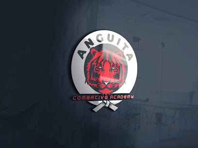 Anguita Combative Academy