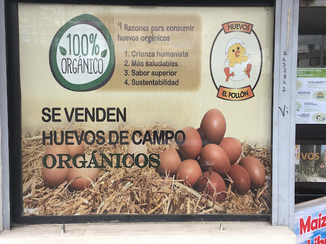 Huevos Orgánicos “EL POLLÓN” - Latacunga