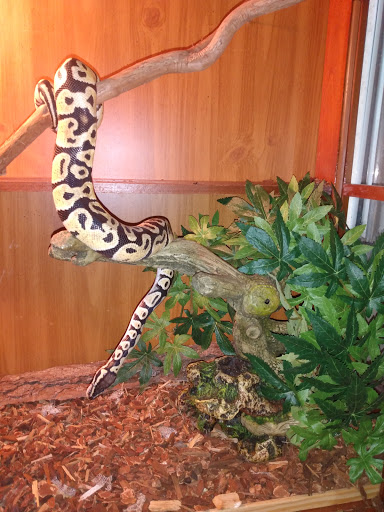 Pet Supply Store «Pet Bazaar», reviews and photos, 490 FL-436, Casselberry, FL 32707, USA