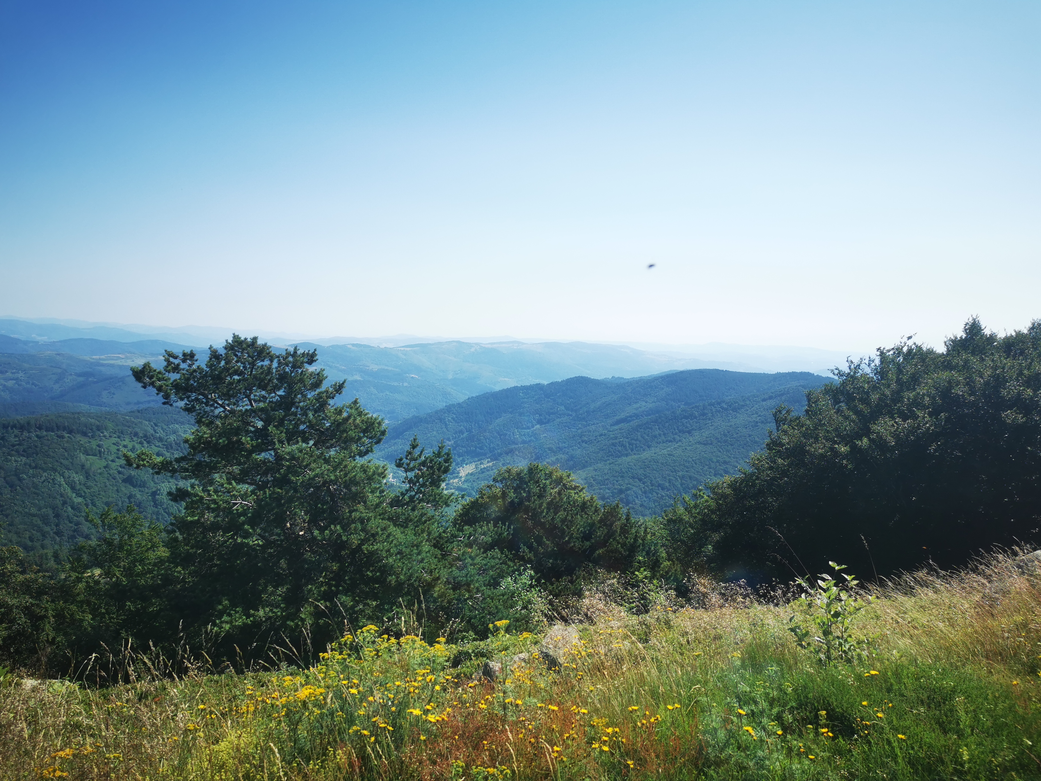 Photo n° 20 de l'avis de Seb. fait le 14/07/2023 à 04:55