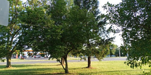 Buffalo City Mission, 100 E Tupper St, Buffalo, NY 14203, Charity