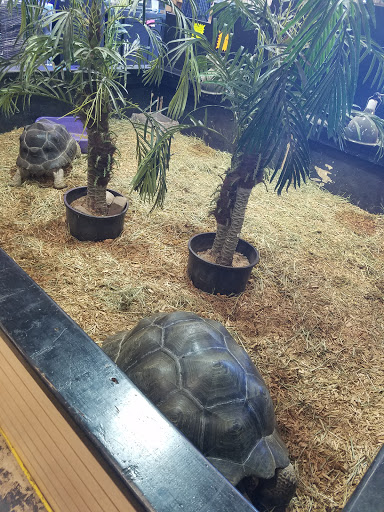 Pet Store «Pet Kingdom», reviews and photos, 3191 Sports Arena Blvd, San Diego, CA 92110, USA