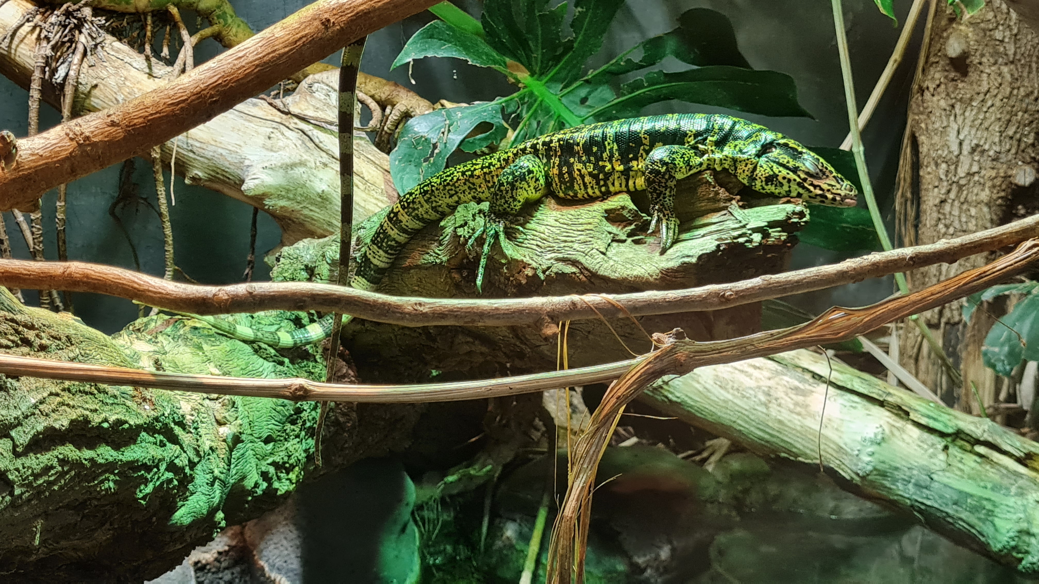 Photo n° 9 de l'avis de Thierry.u fait le 14/10/2023 à 18:57