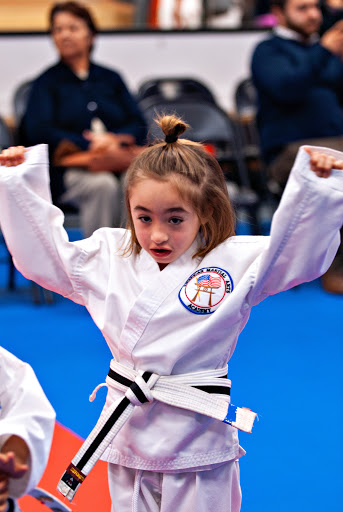 American Martial Arts Academy image