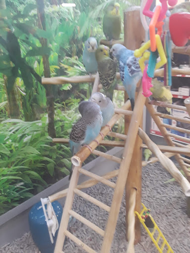 Pet Supply Store «Petco Animal Supplies», reviews and photos, 4820 South Baldwin Road #3B, Orion Township, MI 48359, USA