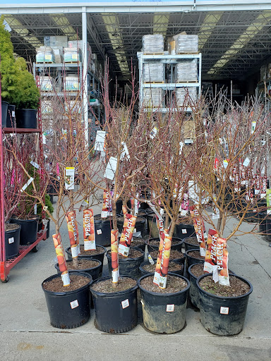 Home Improvement Store «The Home Depot», reviews and photos, 106 Route 23, Riverdale, NJ 07457, USA