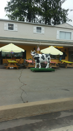 Frozen Cow Soft Serve Ice Cream and More