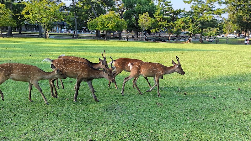 登大路園地