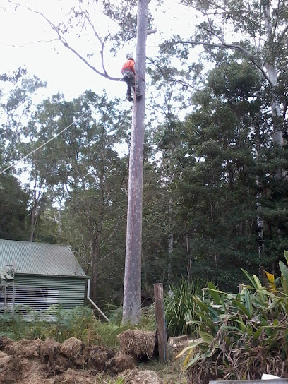 Pats Tree Services
