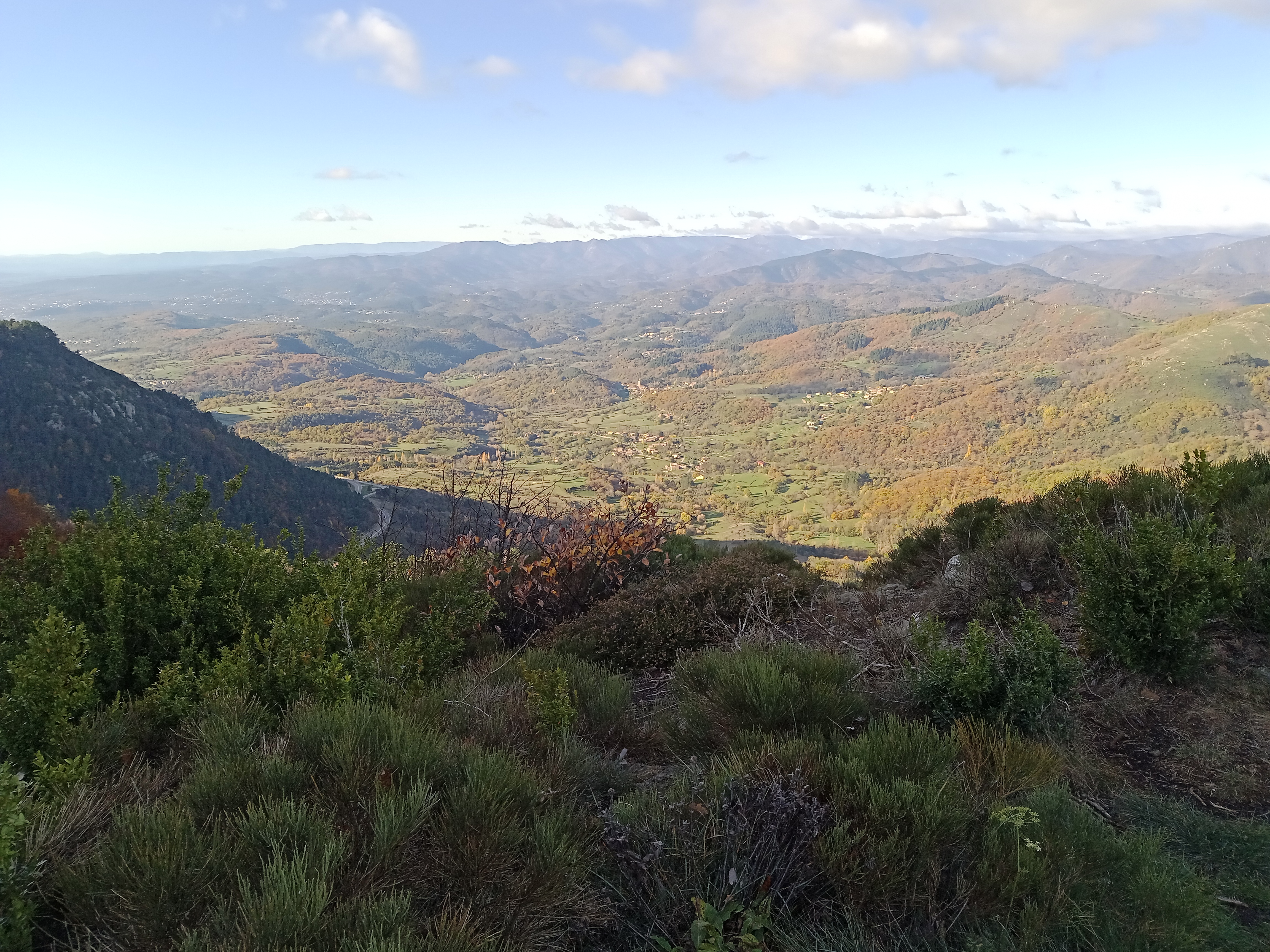 Photo n° 3 de l'avis de Looping.o fait le 20/11/2022 à 11:45
