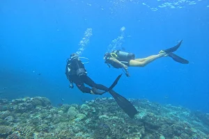 Corail Plongée : École de Plongée Saint Gilles La Reunion image