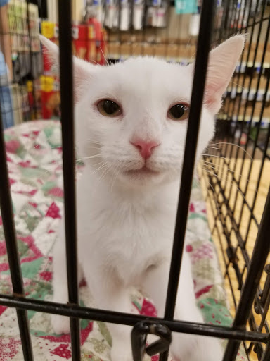 Pet Supply Store «PetSmart», reviews and photos, 5226 S College Rd, Wilmington, NC 28412, USA