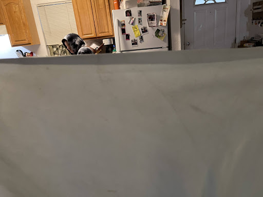 Dry Cleaner «Amazing Dry Cleaners», reviews and photos, 10677 Big Bend Rd, Riverview, FL 33579, USA