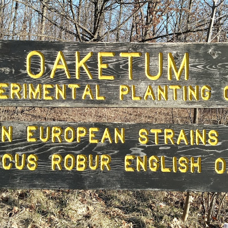 Oaketum