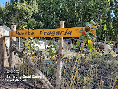 Huerta Fragaria