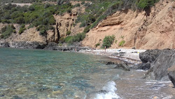 Bega sa Canna Beach'in fotoğrafı çok temiz temizlik seviyesi ile