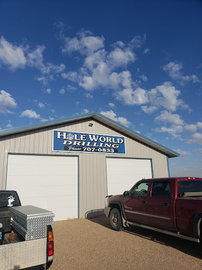 Hole World Consulting LLC