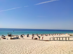 Foto di Spiaggia di Comporta con costa lunga e dritta