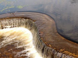 Wellfield Botanic Gardens - photo 92