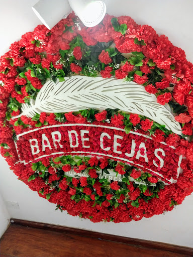 Bar de Cejas
