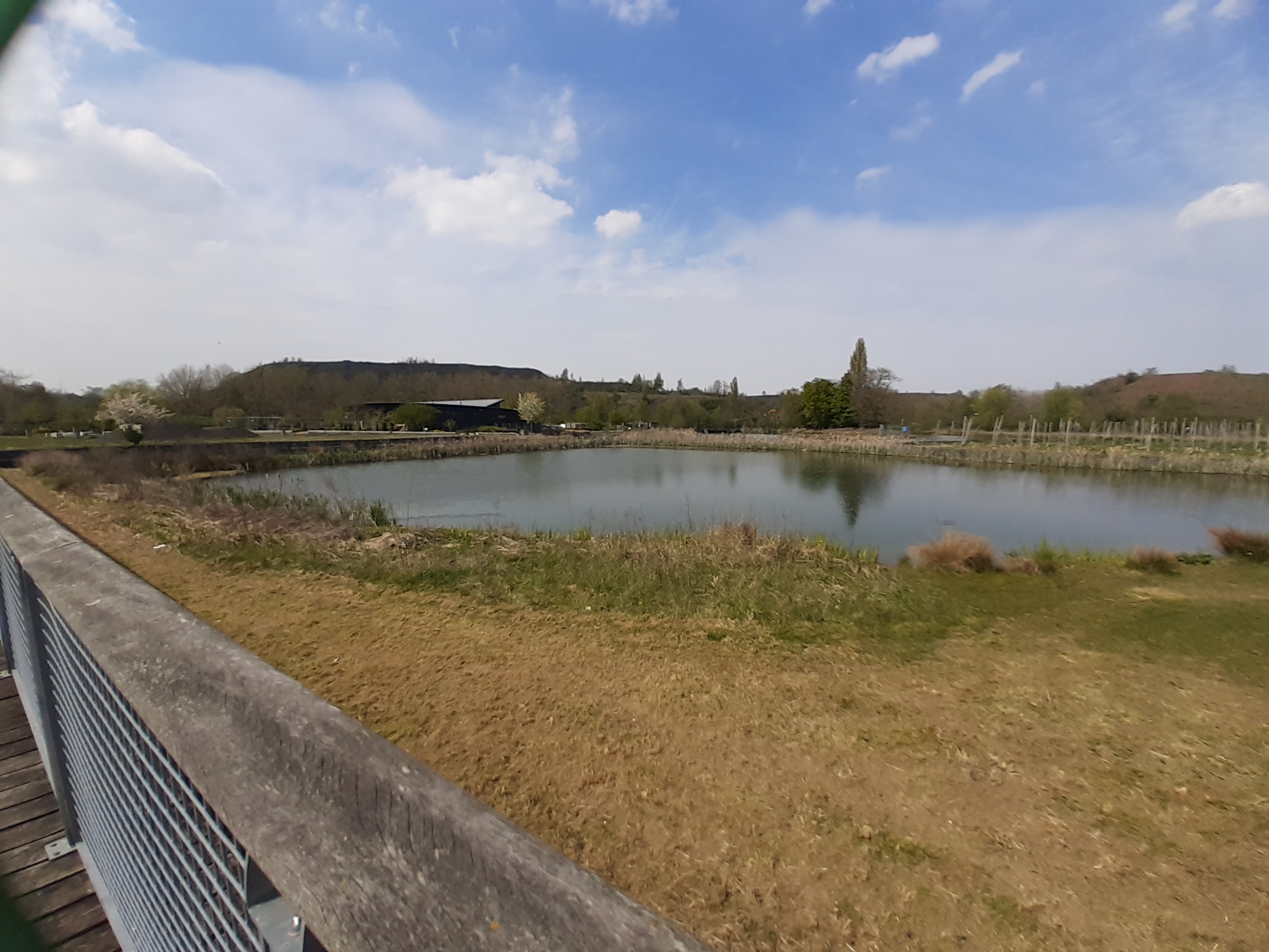 Photo n° 11 de l'avis de Vérane.o fait le 29/04/2021 à 08:20